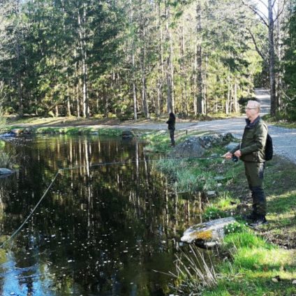 Flugströmmen fiske